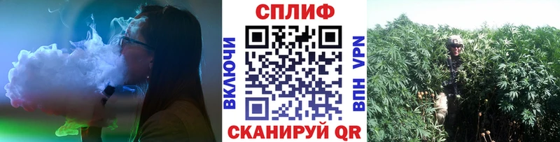 Шишки марихуана гибрид  Короча 